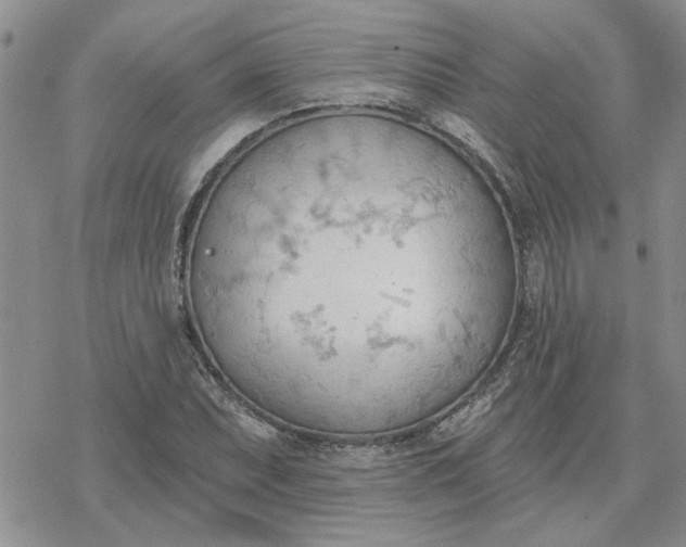 X0000078231071200611171428