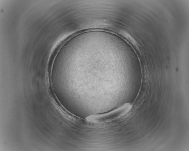 X0000078231072200611171428