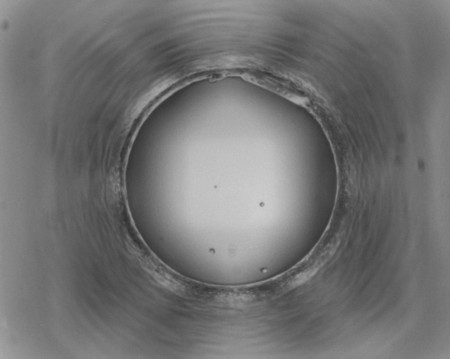 X0000078231073200611171428