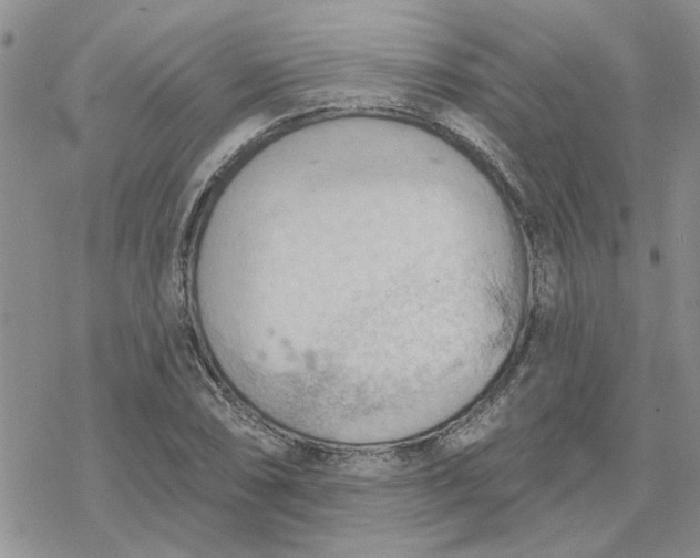 X0000078231074200611171428