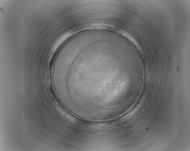 X0000078231075200611171428