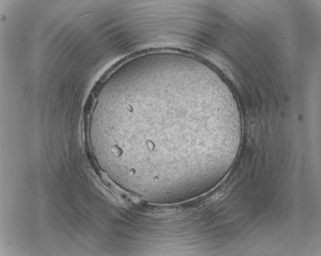 X0000078231076200611171428