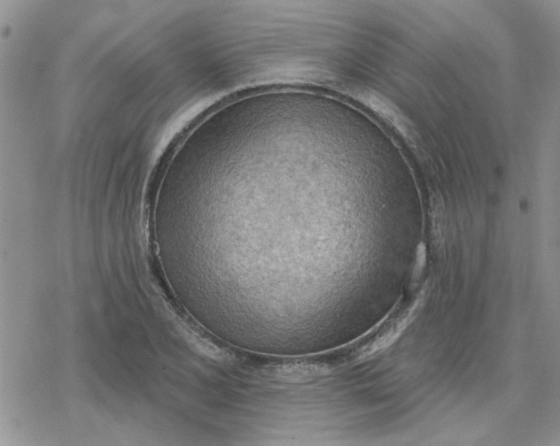 X0000078231077200611171428