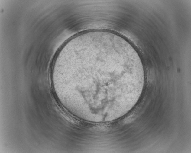 X0000078231078200611171428