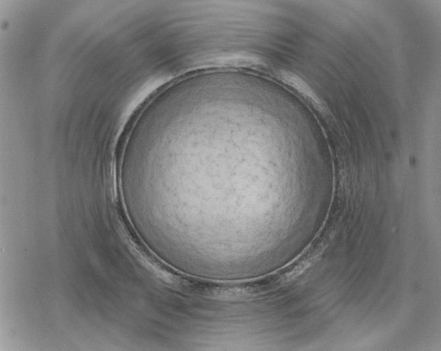 X0000078231079200611171428