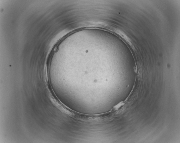 X0000078231080200611171428