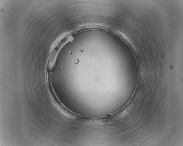 X0000078231082200611171428