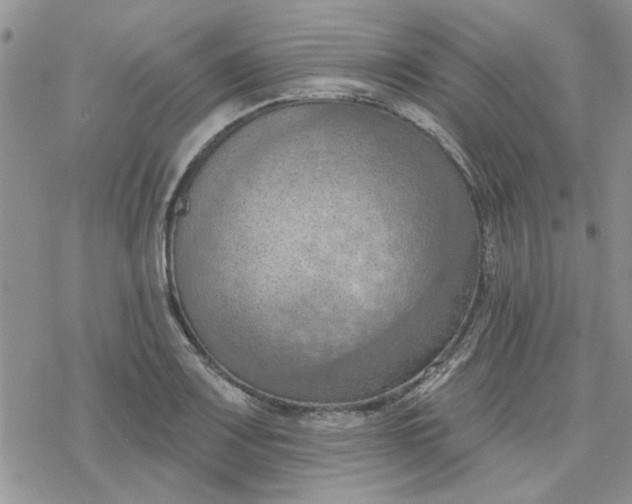 X0000078231083200611171428