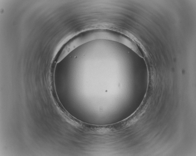 X0000078231085200611171428