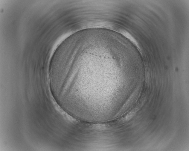 X0000078231088200611171427