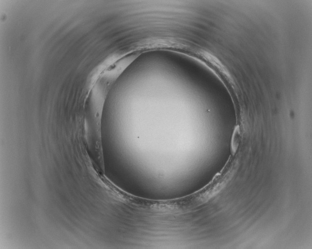 X0000078231089200611171427