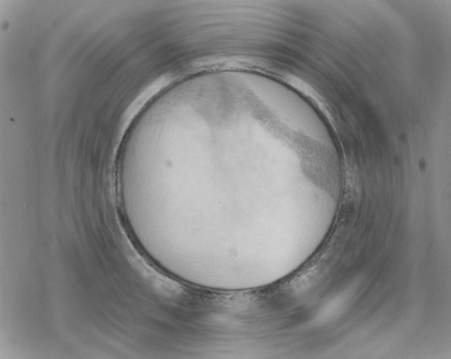 X0000078231090200611171427