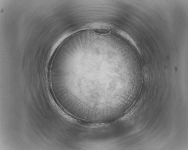 X0000078231091200611171427