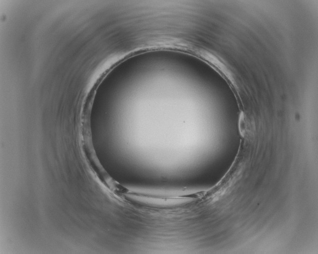 X0000078231093200611171427