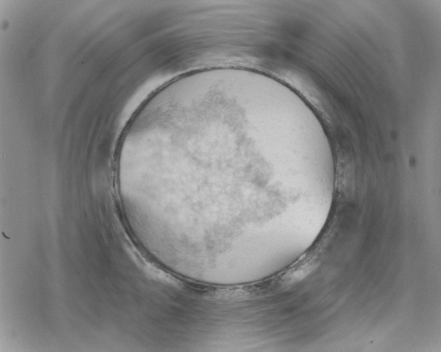 X0000078231094200611171427