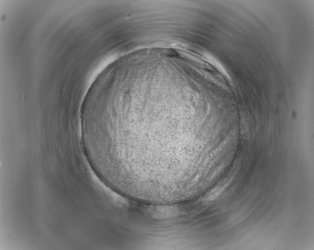 X0000078231095200611171427