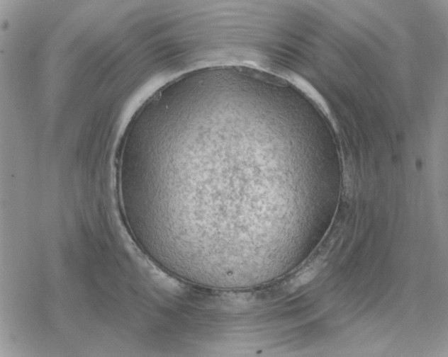 X0000078231096200611171427