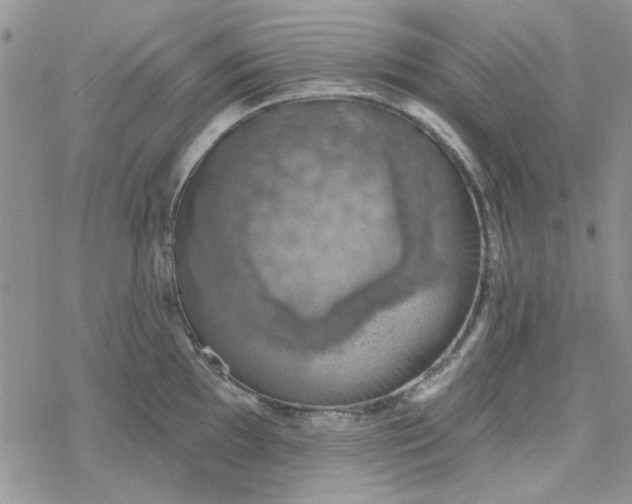 X0000078231097200611171427