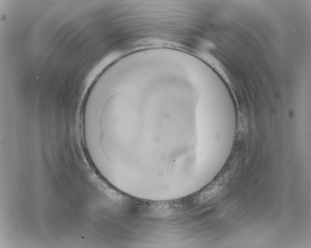 X0000078231098200611171427