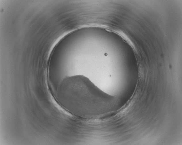 X0000078231100200611171427