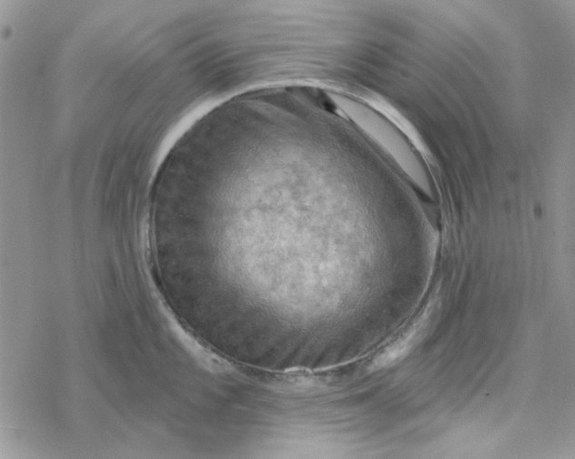 X0000078231101200611171427