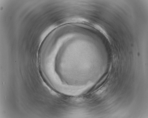 X0000078231103200611171427