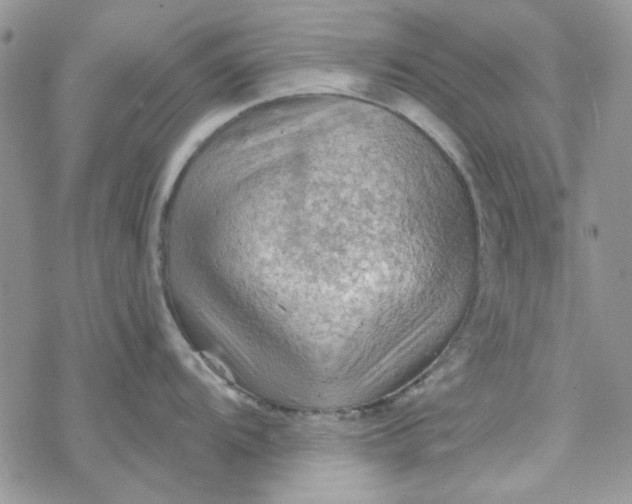 X0000078231104200611171427