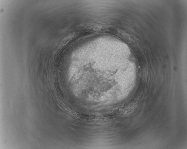 X0000078231105200611171426