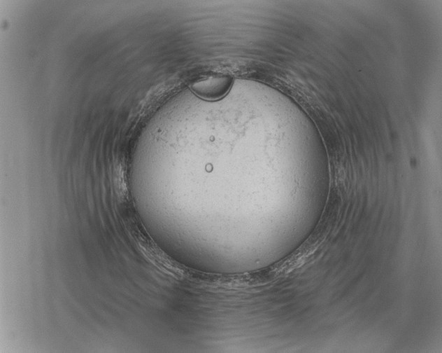 X0000078231106200611171426