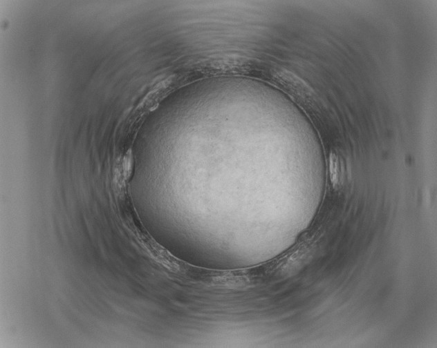 X0000078231107200611171426