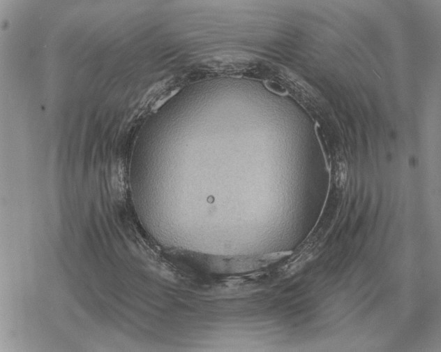 X0000078231108200611171426