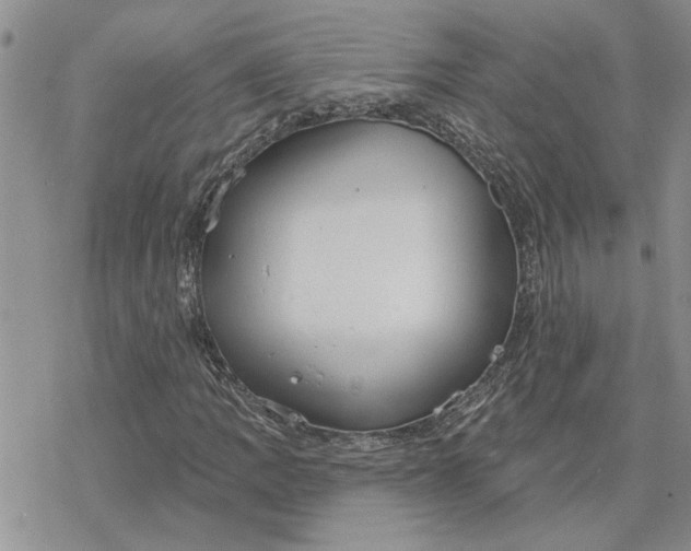 X0000078231109200611171427