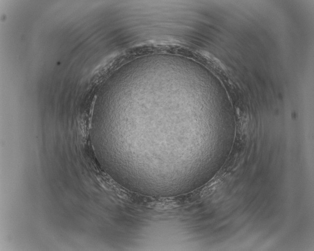 X0000078231110200611171427