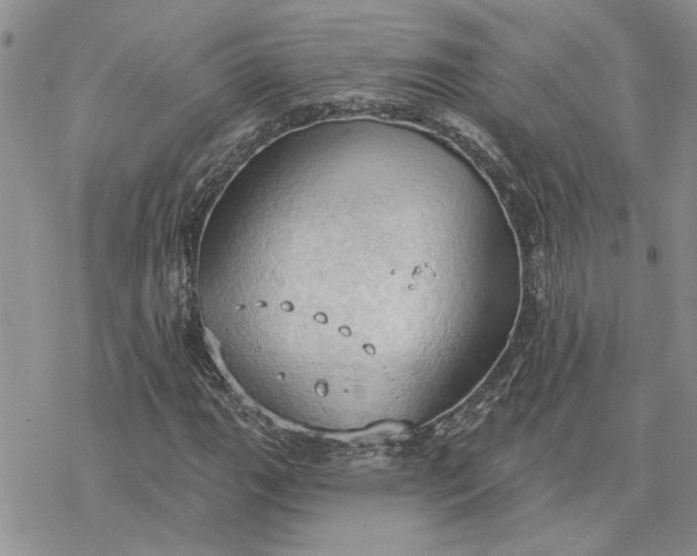 X0000078231111200611171427