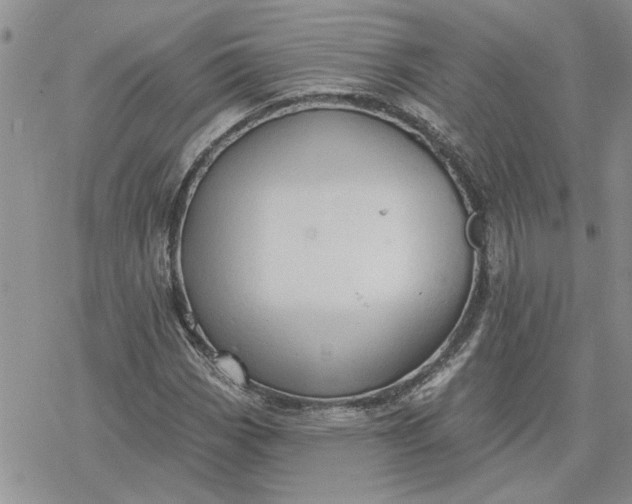 X0000078231113200611171427