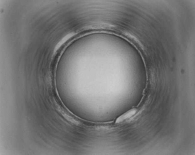 X0000078231114200611171427