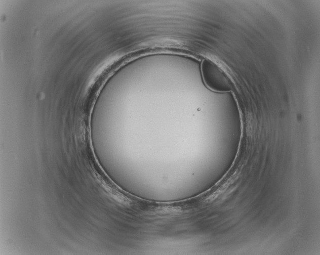 X0000078231115200611171427