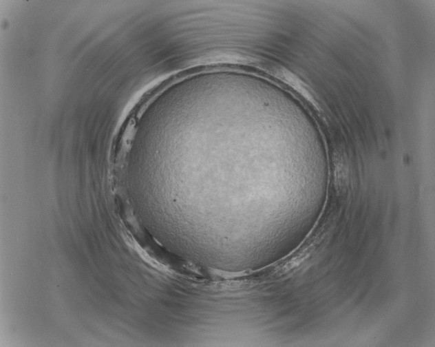 X0000078231116200611171427