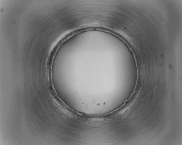 X0000078231118200611171427