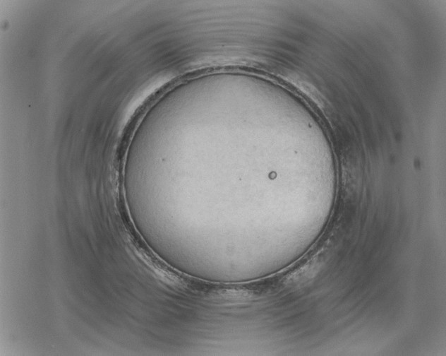 X0000078231119200611171427