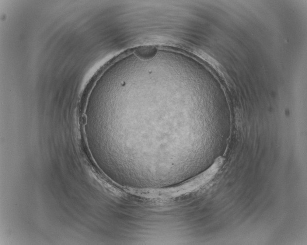 X0000078231120200611171427