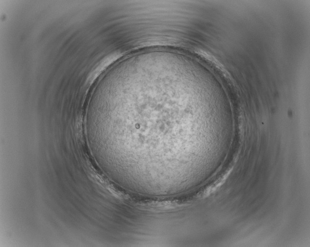 X0000078231121200611171427