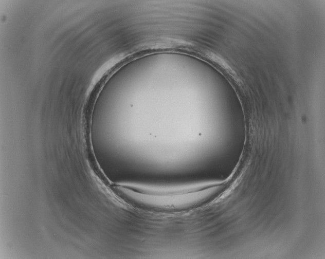 X0000078231122200611171427