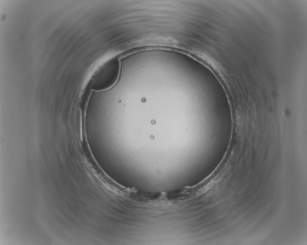 X0000078231123200611171427