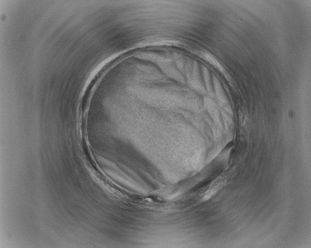 X0000078231124200611171427