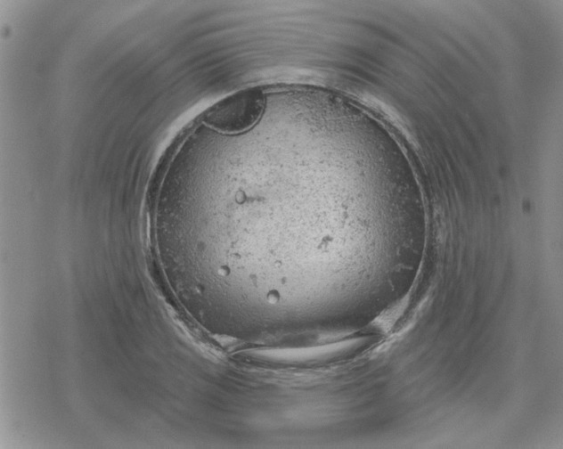 X0000078231125200611171427