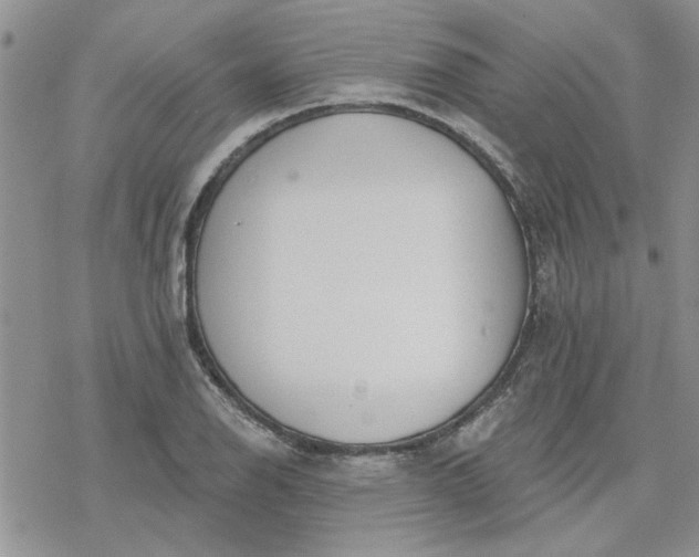 X0000078231126200611171427