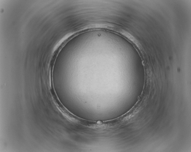 X0000078231127200611171427