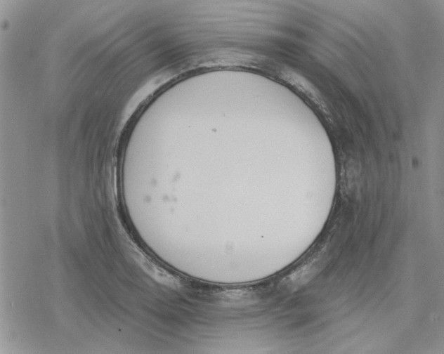 X0000078231130200611171427