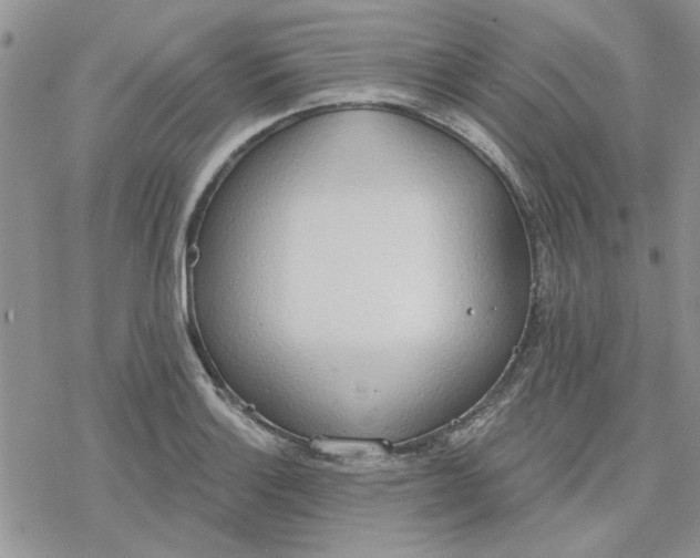 X0000078231132200611171427